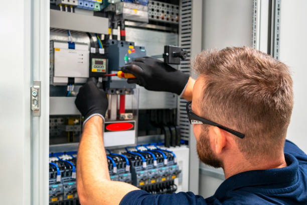 Best Affordable Electrician  in Blissfield, MI